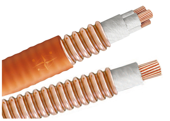 КИТАЙ Аттестация IEC кабеля BTTW 500V BS легкой нагрузки Multicore высокотемпературная поставщик