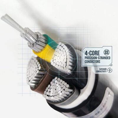 Waterproof Moisture Resistant PVC Insulated Cable 0.6/1kV 2 Core 2x4mm2 Outdoor Wet Area поставщик
