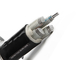 XLPE изолировало ядр кабеля 3 среднего напряжения тока силового кабеля алюминиевое поставщик